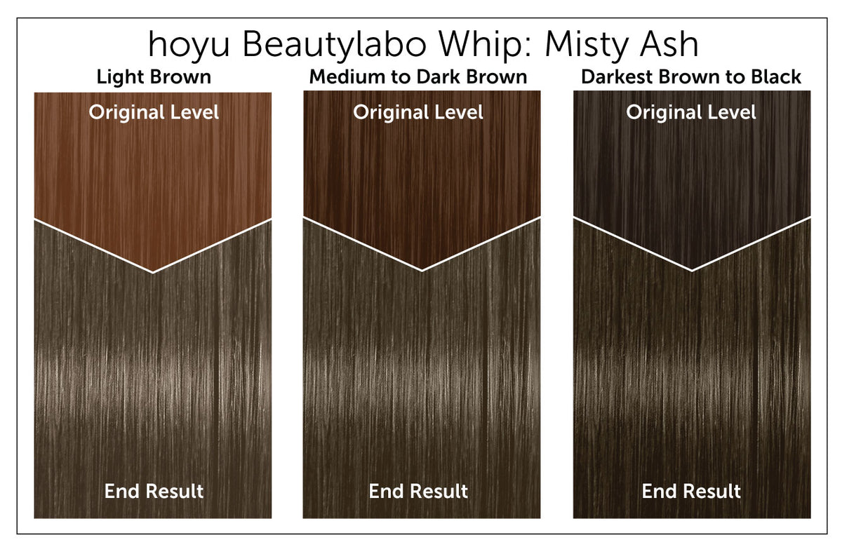 Hoyu Beautylabo Whip - Bigen USA