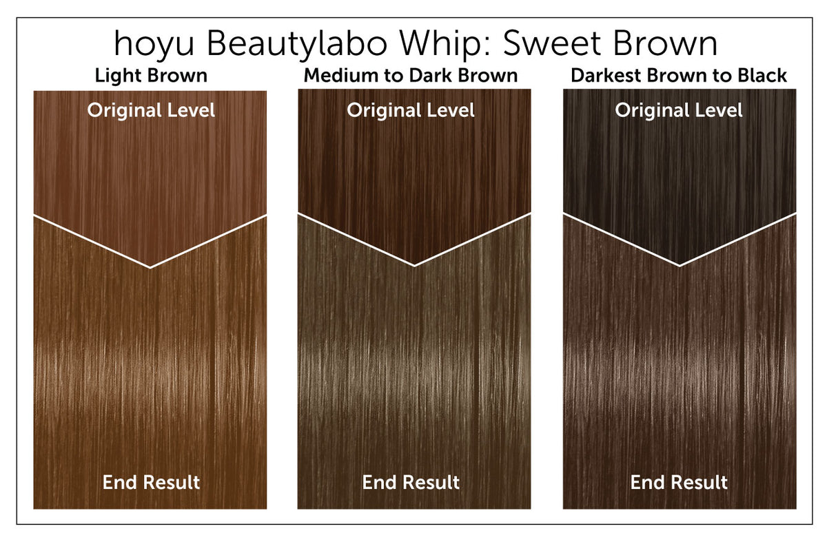 Hoyu Beautylabo Whip - Bigen USA